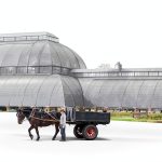 Arcturus Gardening eBook English Kindle Nature Photography-0