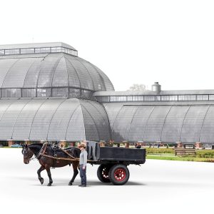 Arcturus Gardening eBook English Kindle Nature Photography-0