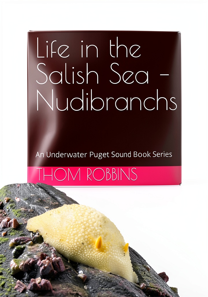 'Underwater Puget Sound Kindle book cover with vibrant marine photography'