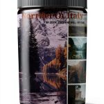 European Travel Series Kindle eBook Milan Venice Guide-0