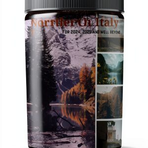 European Travel Series Kindle eBook Milan Venice Guide-0