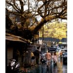 Nature Photography Guide English Kindle Edition 74 Pages-0