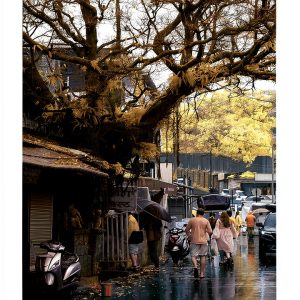 Nature Photography Guide English Kindle Edition 74 Pages-0