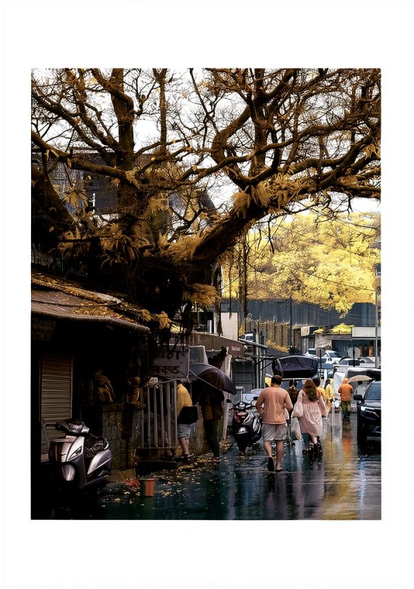 Nature Photography Guide English Kindle Edition 74 Pages-0