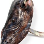 Abrams Underwater Photography Book English Kindle Edition-0